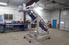 Moline Dough Elevator Conveyor